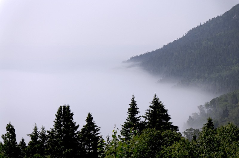 brume du matin …